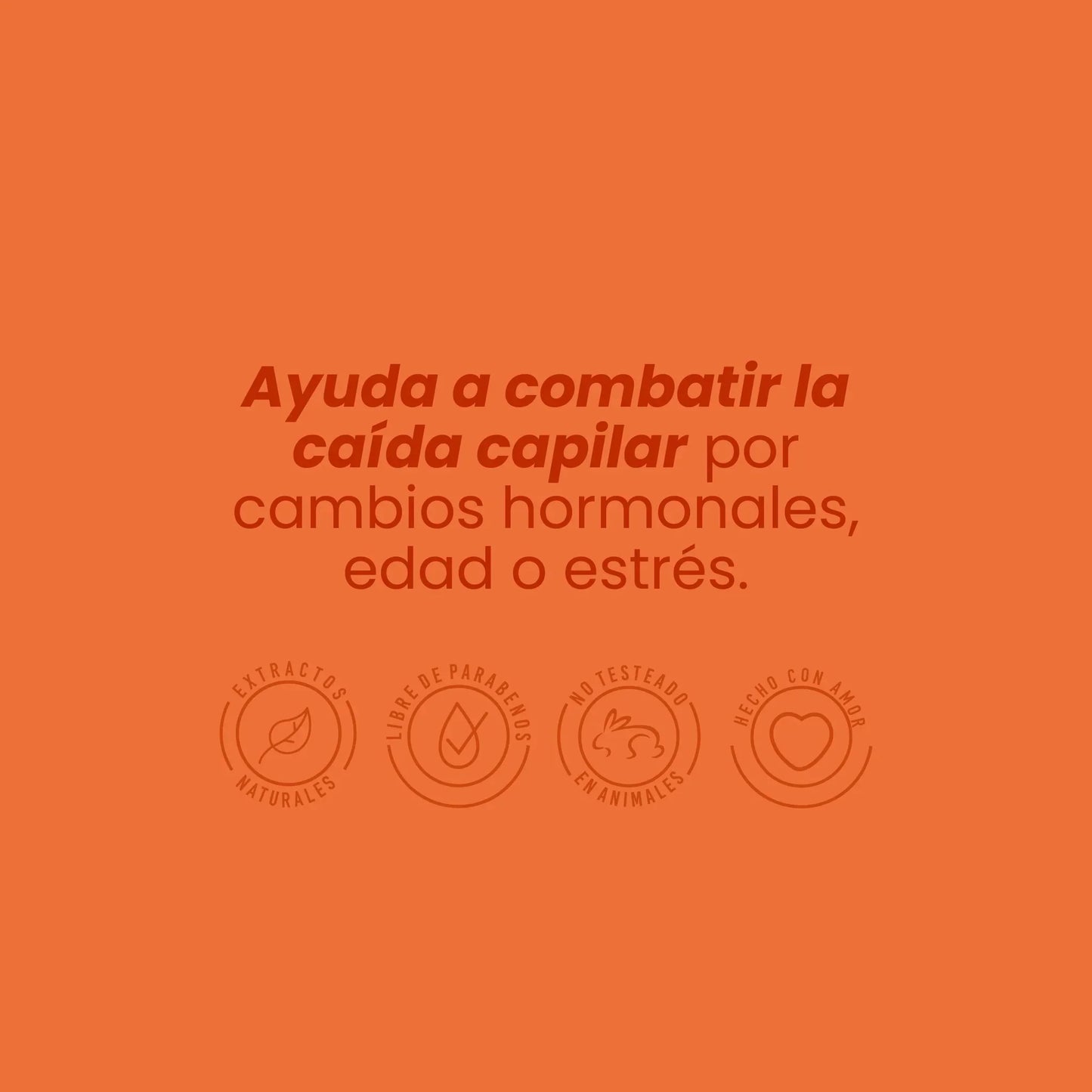 SHAMPOO ANTICAIDA GINSENG 🌿+ Cepillo Masajeador de obsequio🎁